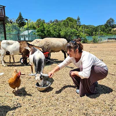 Photo of attorney Paige Tomaselli feeding farm animals